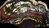 Polished Tiger Iron Stromatolite - ( Billion Years) #65328-1